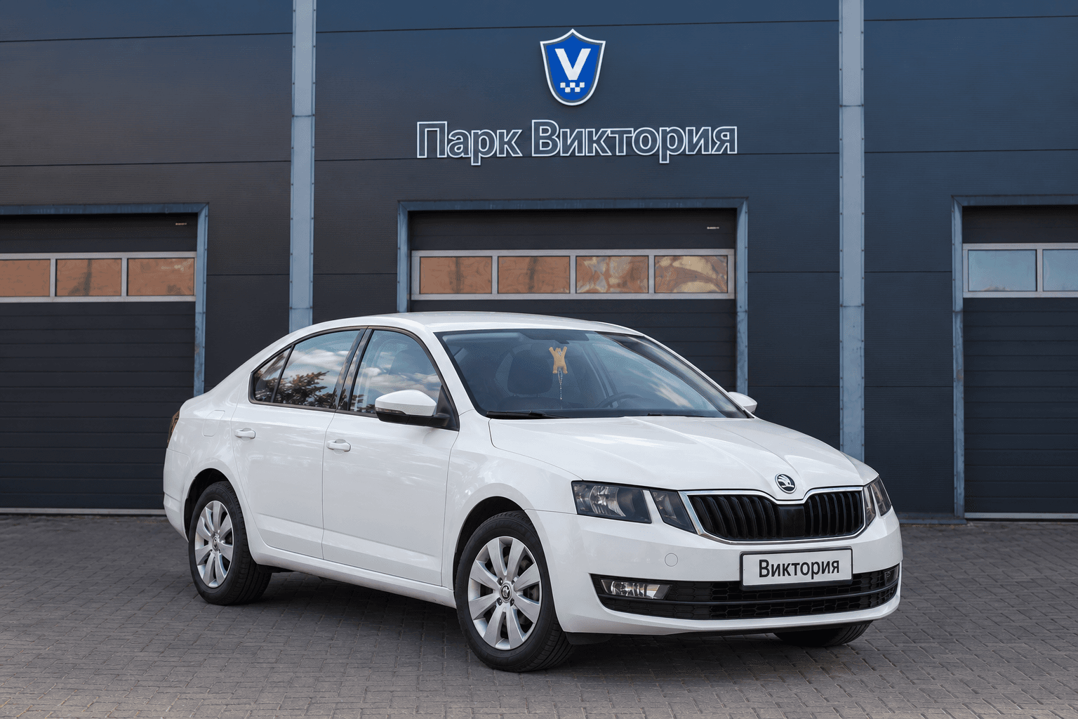 Škoda Octavia перед гаражом Парк Виктория