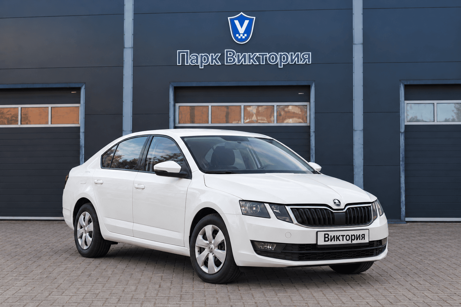 Škoda Octavia перед гаражом Парк Виктория